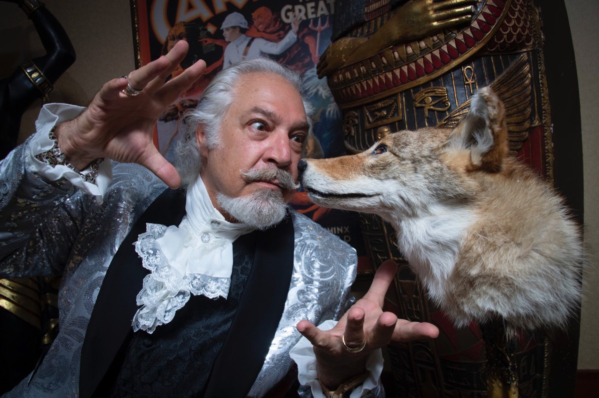 Magic Shows in Oahu & Maui